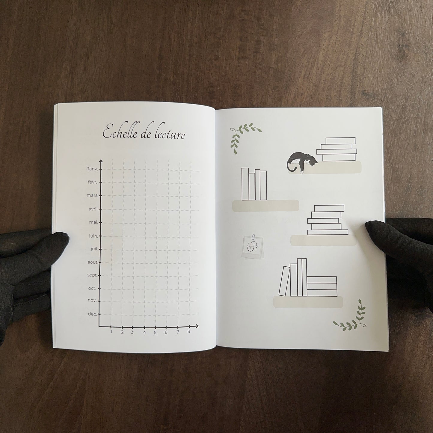 Box organisation