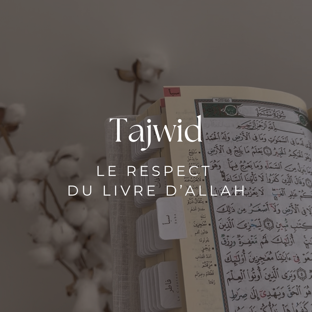 Tajwid - sept 2026