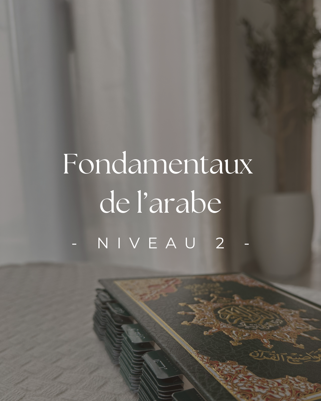 Fondamentaux de l'arabe - niv. 2