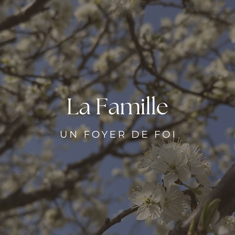 Fiqh de la Famille