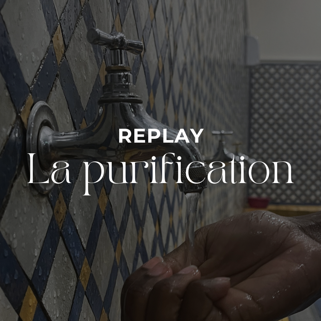 REPLAY - La purification