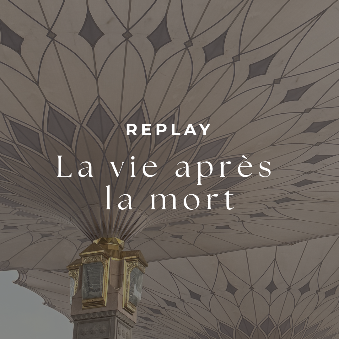 REPLAY - La vie après la mort