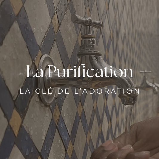 La Purification