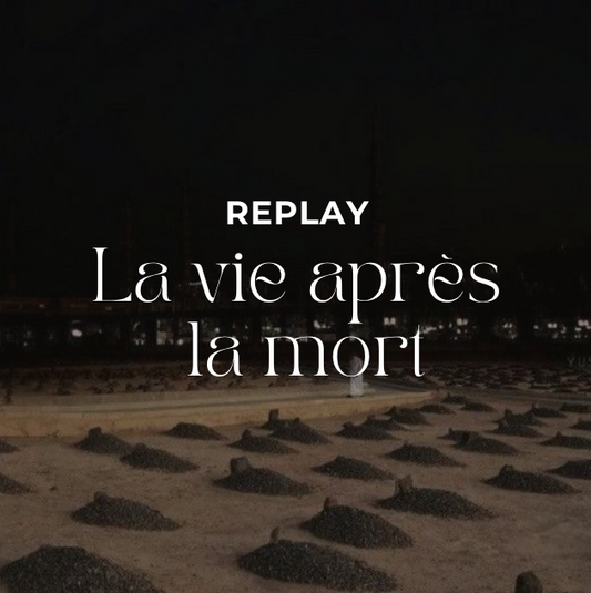 REPLAY - La vie après la mort