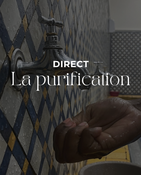 La purification